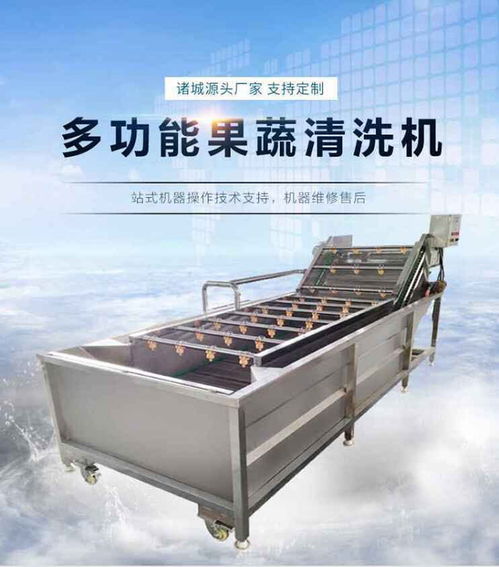 水果清洗設備 清洗設備 瑞和食品機械 查看