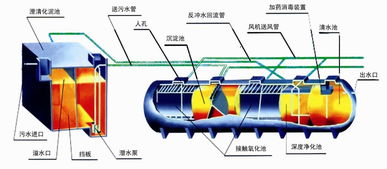 關(guān)于污水處理你必須知道的幾點,干貨分享